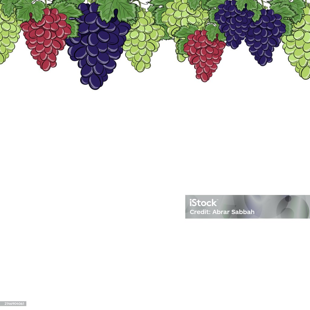 Grape Frame Icon Hand Drawn Isolated Grapes Frame Stock Illustration - Download Image ...