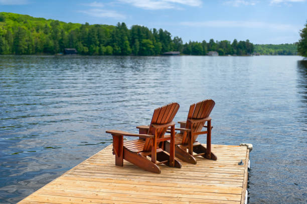 istock Summer Morning by the Lake 2147013306