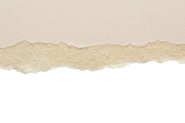 istock White ripped paper torn edges strips isolated on white background 2147079927