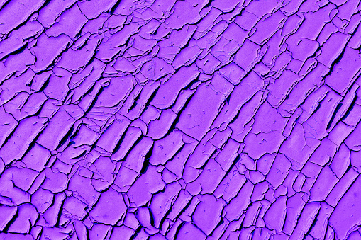 Purple, very dried, peeling paint. Abstract background of peeling, cracked paint.