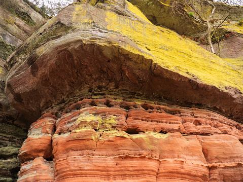 Sedimentary Rock Layers Exposed in Cliff Face