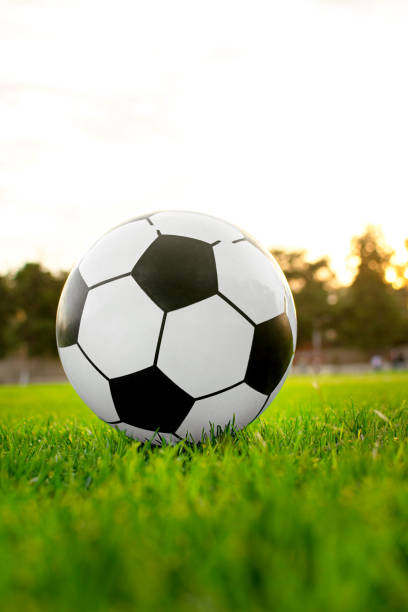 istock Horizontal image of a soccer ball on a field at sunset 2147274716