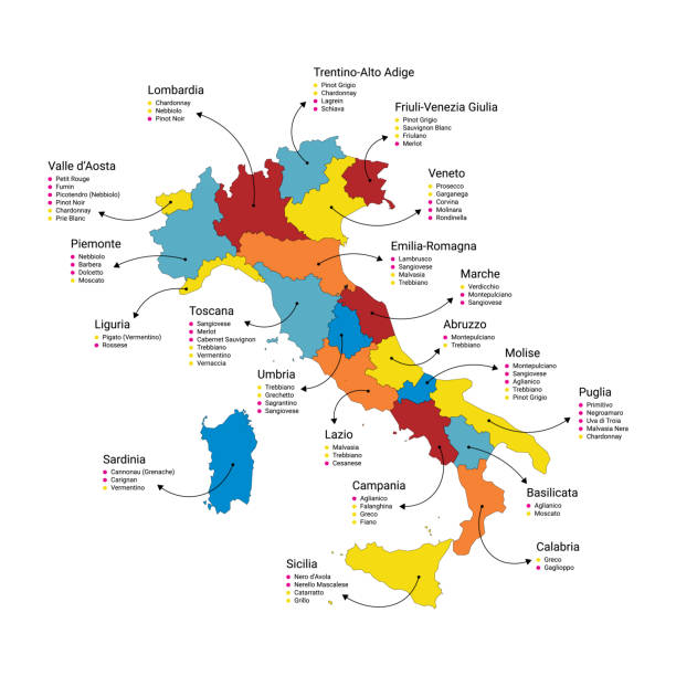 ilustraciones, imágenes clip art, dibujos animados e iconos de stock de map of the wines of italy and its regions - mapa de la toscana italia