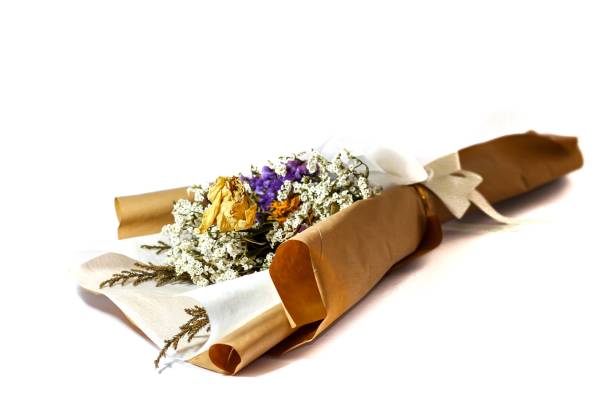 istock Flower for goodness timing and congratulations, concept isolated flower on white background. 2147366112