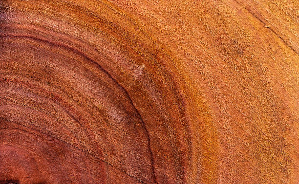 istock Beautiful wood grain. Wood background. Wood grain pattern texture backgrounds 2147379436
