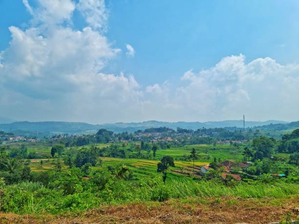 istock Tropical green village area 2147417485