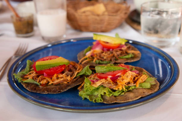 istock Panuchos, a traditional food dish from Yucatan 2147485780