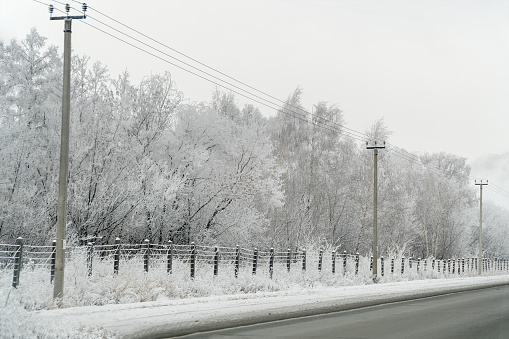 Fencing, power line and forest covered with frost along the winter highway.Soft focus