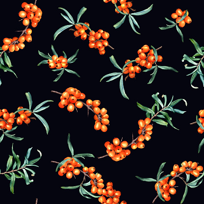 Watercolor floral seamless pattern with medicinal plant sea buckthorn branches. Hand drawn botanical illustration for wrapping, wallpaper, fabric, textile.