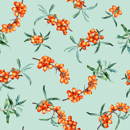 Watercolor seamless pattern with medicinal plant sea buckthorn branches. Hand drawn botanical illustration on isolated background for wrapping, wallpaper, fabric, textile.