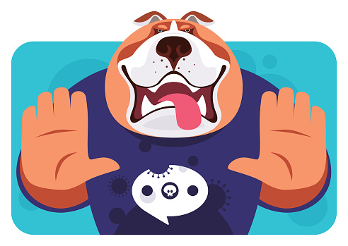 vector illustration of bulldog gesturing stop sign in red t-shirt