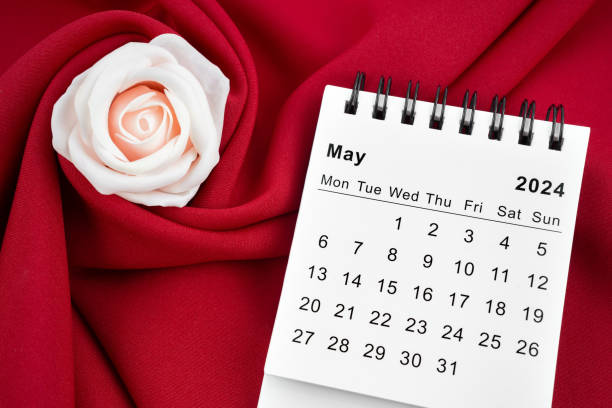 istock May 2024 desk calendar and pink rose on red textile. 2147496726