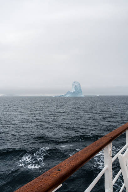 Tourist in Antarctica.
