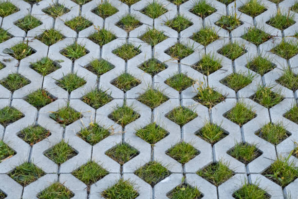 Openwork slab, driveway to the garage with grass between paving stones