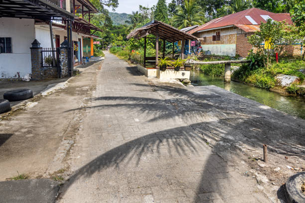 Bukit Lawang, Sumatra, Indonesia - January 23th 2024:   Shadow of a coconut palm tree on the road going through the village