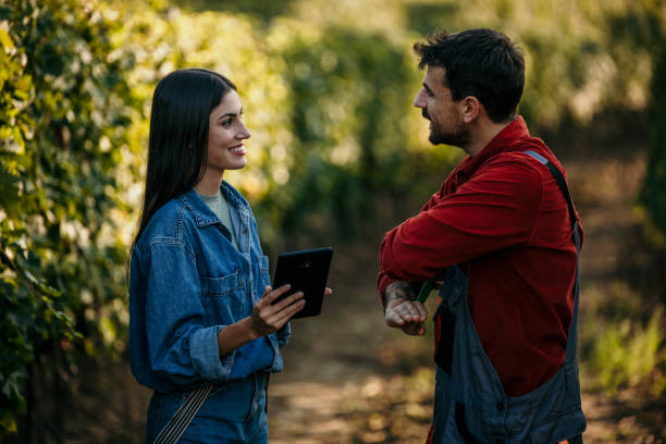 istock Bounty of the vine 2147499421
