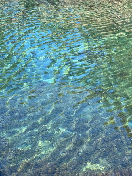 istock Rippled clear sea water with seaweed 2147499433