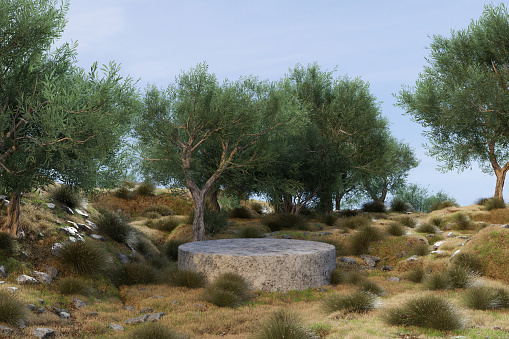 Abstact Realistic 3d render spring scene and Natural background,  Stone podium on the grass field, plant and tree for product display, advertising, mockup or etc