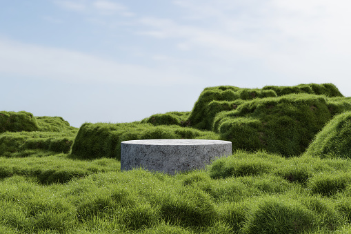 Abstract 3d render platform and mockup natural background, Stone podium on the grass field backdrop meadow mountain for product stand display, advertising or etc
