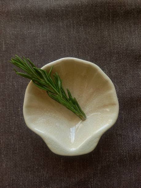 istock A branch of rosemary 2147500439