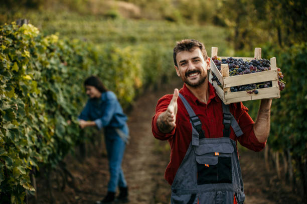 istock Welcome to our vineyard 2147500754