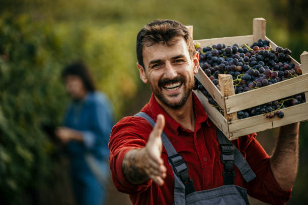 istock Welcome to our vineyard 2147500756
