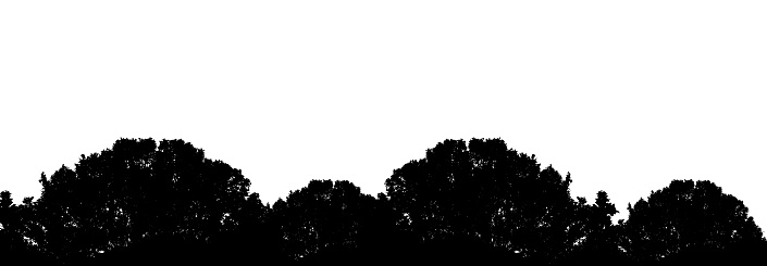 Abstract background silhouette trees. Natural pattern and copy space or empty. For advertisements, business cards, brochures and white backgrounds.