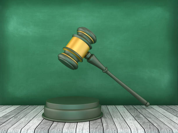 istock Legal Gavel 2147502604