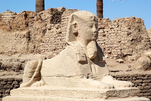 Luxor dromos, an avenue of human-headed shpynxes which once connected the temples of Karnak and Luxor,Egypt