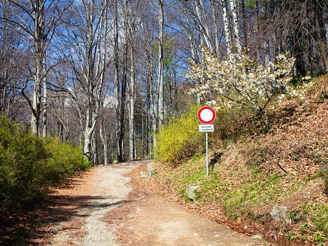 Burcina Park, named after founder Felice Piacenza, is a hillside just outside Biella with trees of all kinds from all over the world. It is beautiful in any season and certainly in spring. Here is the main avenue leading to a beech forest.