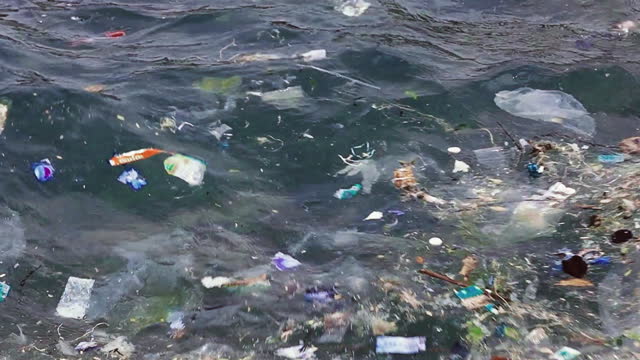 Sea, Plastic, Pollution, Garbage, Plastic Pollution,Sea, Plastic, Pollution, Garbage, Environmental Damage,Sea, Plastic, Garbage, Pollution, Water