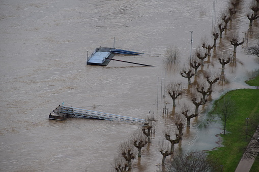 winter flood of the Rhine