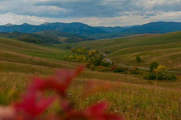 istock Altai mountains road 2147509038
