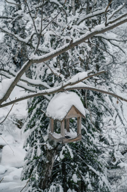 Winter mood
