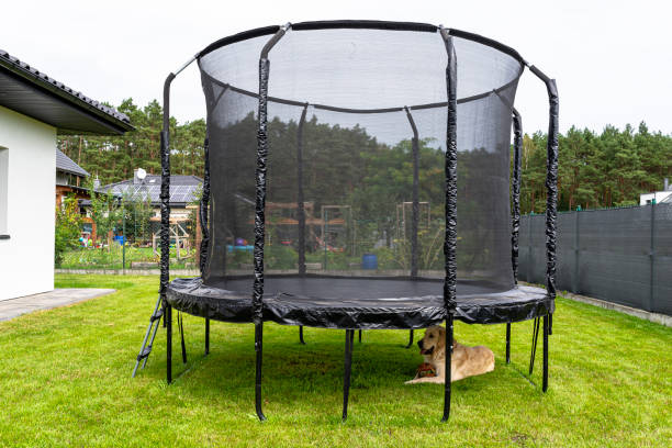 istock Large childrens jumping trampoline with protective net and closed zipper, standing in the garden, visible golden retriever dog. 2147511769