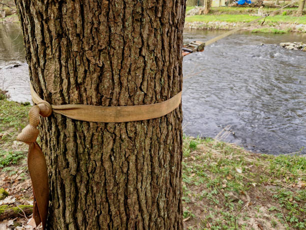 istock Slackline, or slack for short, is balancing, walking, and jumping on a strap attached between two points, such as trees. Unlike walking on a rope, the slackline strap is not tight 2147513194