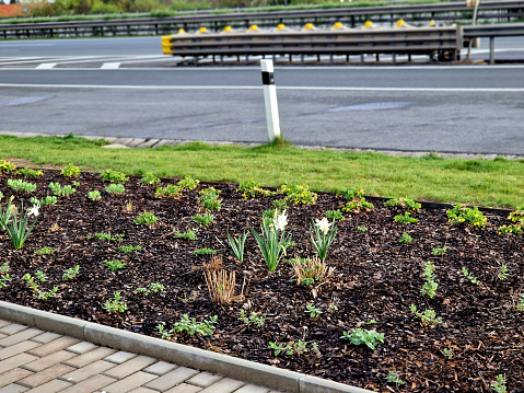 a flower bed at a freeway on-ramp with a crash barrier barrier at an intersection. bollard in bark, bark mulch