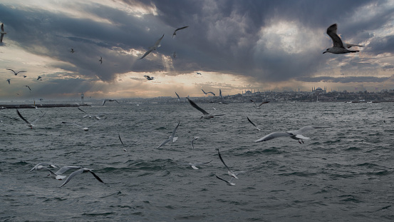 Seagulls fly over the sea front of Haydarpasa train station in Kadikoy ferry terminal, Istanbul Turkey. Dramatic sky.