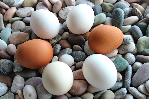 Whole Colorful Eggs Laid Out In A Circle Form On A River Rocks Angle View Stock Photo