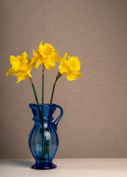 istock Three yellow daffodils in a blue transparent vase on a light gray background. Spring freshness. Still lifeSpring mood, joy, postcard 2147519232
