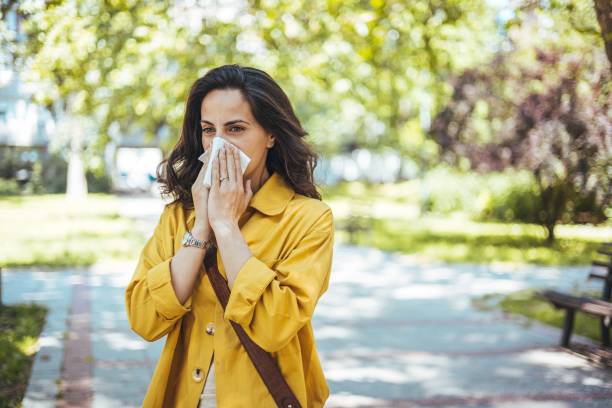 istock Woman has sneezing. 2147521538