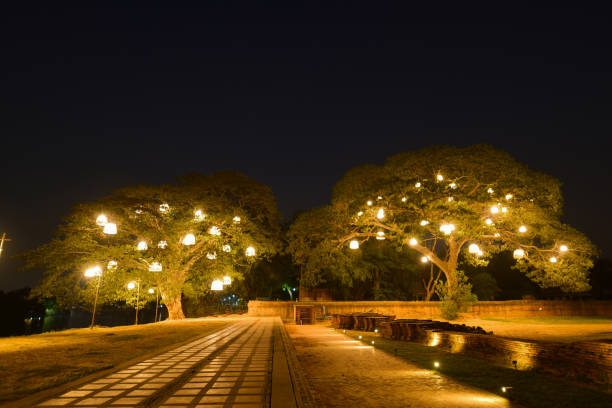 istock Night theme garden decoration wih tree decorated with light bulb. Night light background with copy space. 2147522542