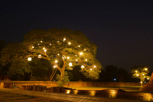 istock Night theme garden decoration wih tree decorated with light bulb. Night light background with copy space. 2147522549
