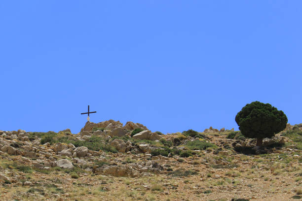 A Juniperus Excelsa Tree with a Crucifix, Lebanon A Lezzeb tree, Juniperus Excelsa M.-Bieb, in the high mountains of Lebanon with a crucifix and a virgin statue nearby. juniperus excelsa stock pictures, royalty-free photos & images