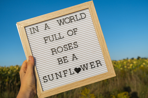 IN A WORLD FULL OF ROSES BE A SUNFLOWER text on white board next to sunflower field. Sunny summer day. Motivational caption inspirational quote. Be unique