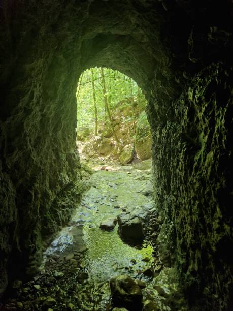 istock Aigner Park Salzburg 2147526308
