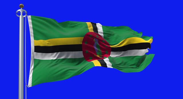 Dominica national flag waving isolated on blue background