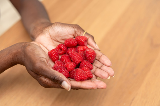 close up of woman's hands Woman Presenting a Handful of Ripe Raspberries