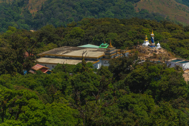 istock A lush green forest with a large building in the middle 2147529660