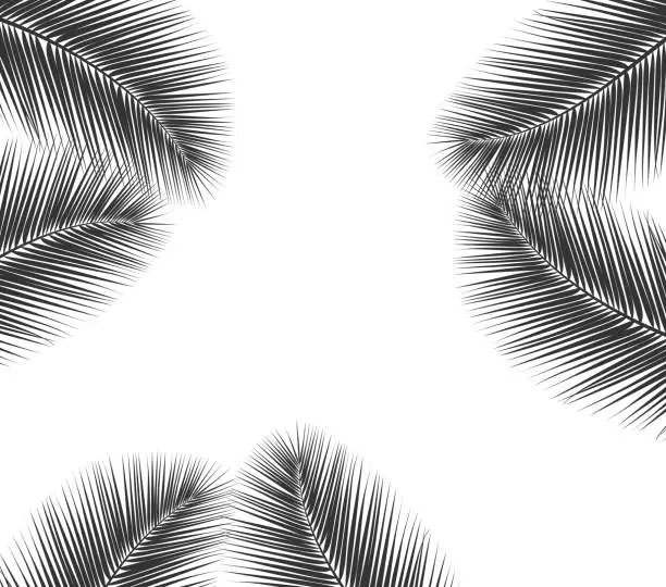 Vector illustration of Palm leaf vector background